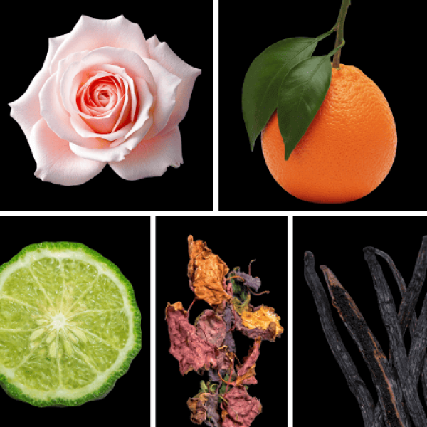 Duftnoten: Rose, Orange, Bergamotte, Patschuli, Vanille